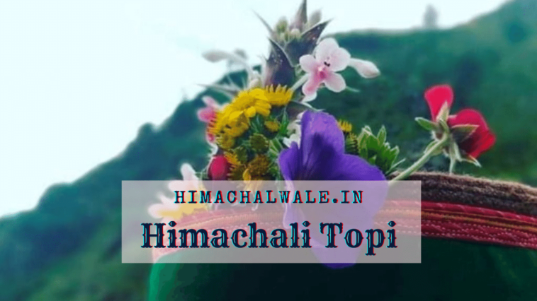 Himachali Topi | Himachal Cap | Pahadi 