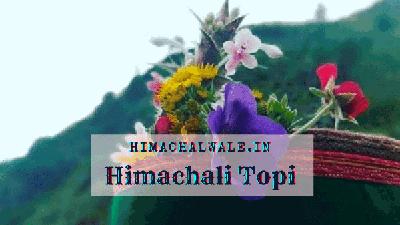 Himachali Topi | Himachal Cap | Pahadi Topi